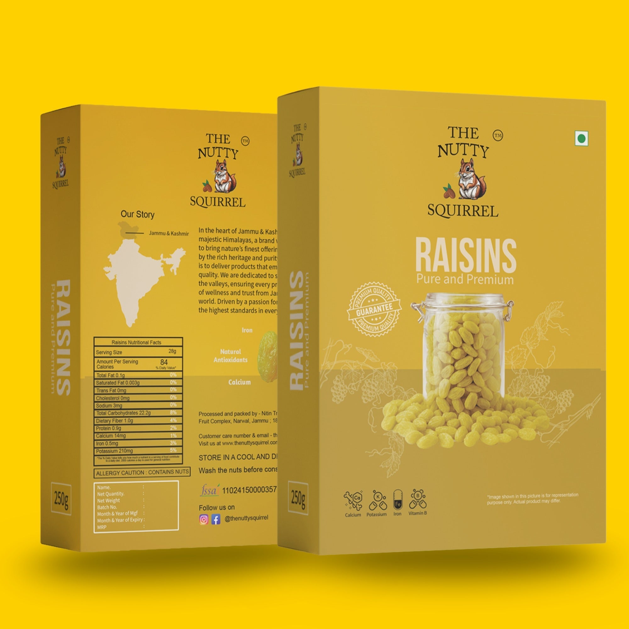 The Nutty Squirrel Raisins Pure and Premium, Natural Antioxidants, Rich in Calcium, Iron and Potassium, 250g