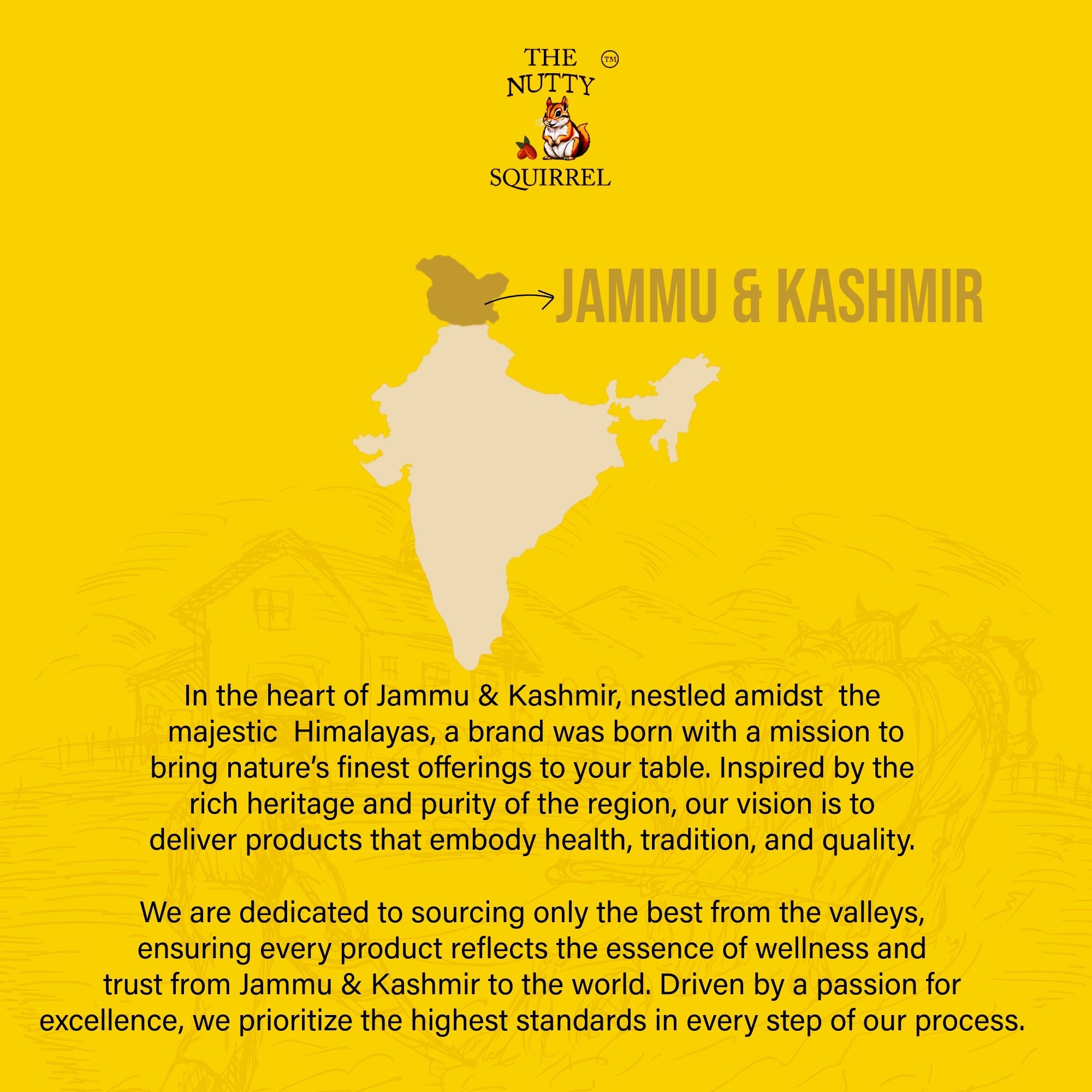 The Nutty Squirrel Raisins Pure and Premium, Natural Antioxidants, Rich in Calcium, Iron and Potassium, 250g